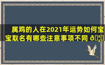 属鸡的人在2021年运势如何宝宝取名有哪些注意事项不同 🦋 时辰出生的运势有何不同